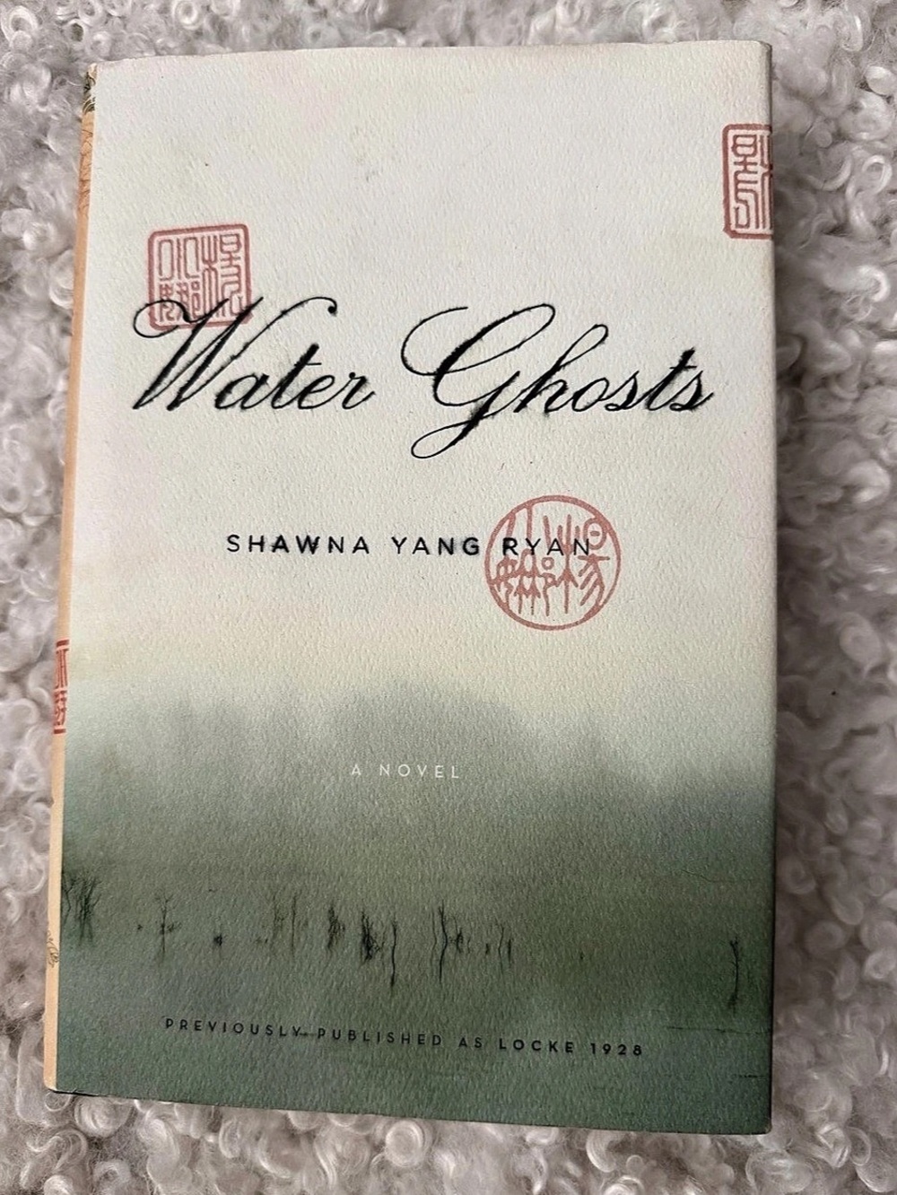 Water Ghosts Hardcover with Sleeve Novel Green White Like New